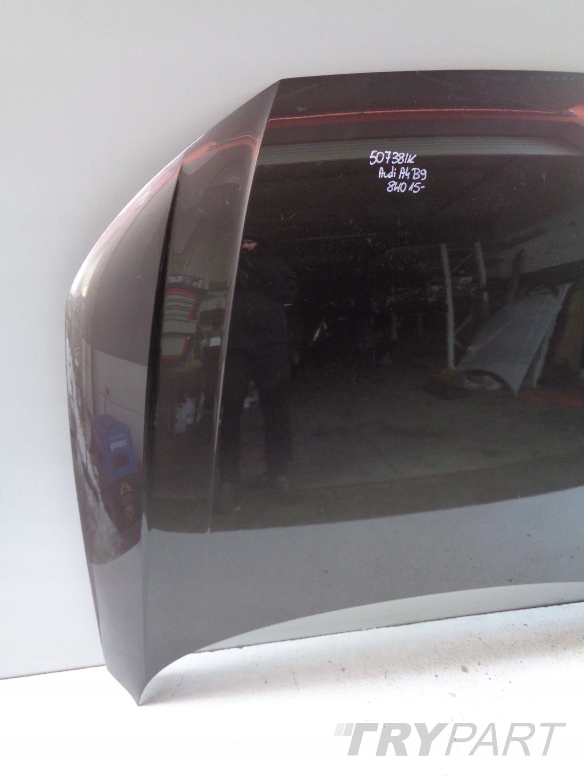 AUDI A4 B9 8W 8W0 15- Engine Hood Bonnet No. 50738