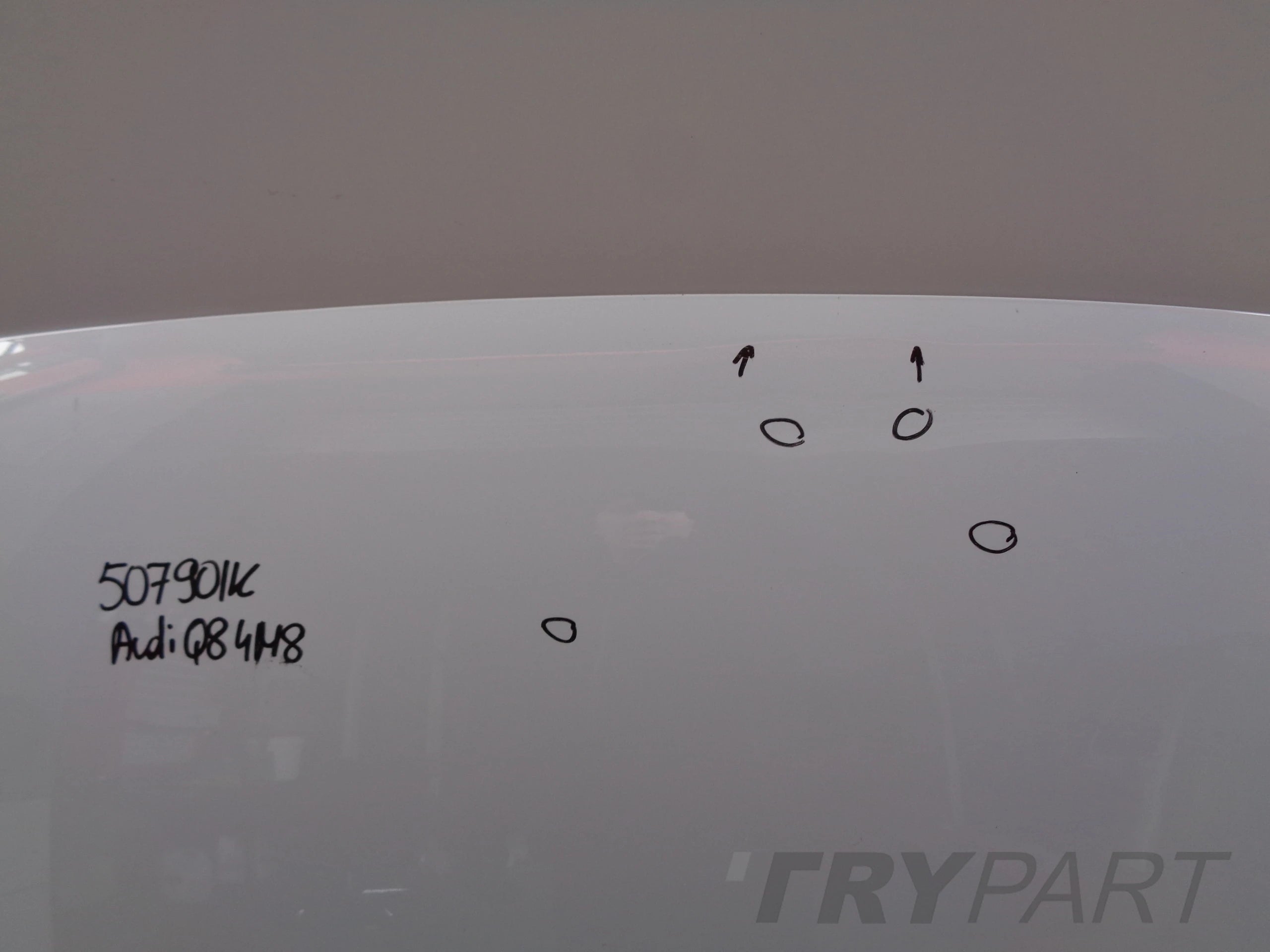 AUDI Q8 4M8 HOOD ENGINE COVER NO. 50790