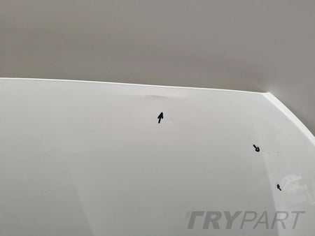 BMW 1 F20 F21 2 F22 F23 ENGINE HOOD COVER NO. 49898