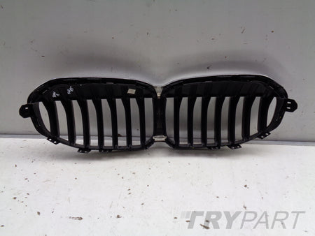 BMW 1 F40 19- Grille Trim