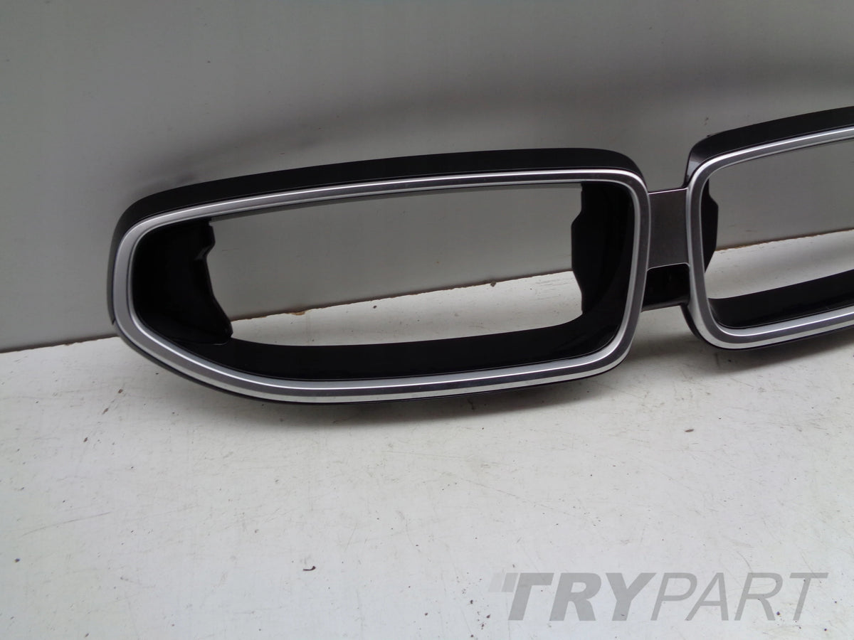 BMW 2 G42 Coupe Grille Cover