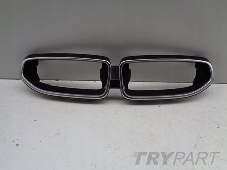 BMW 2 G42 Coupe Grille Cover