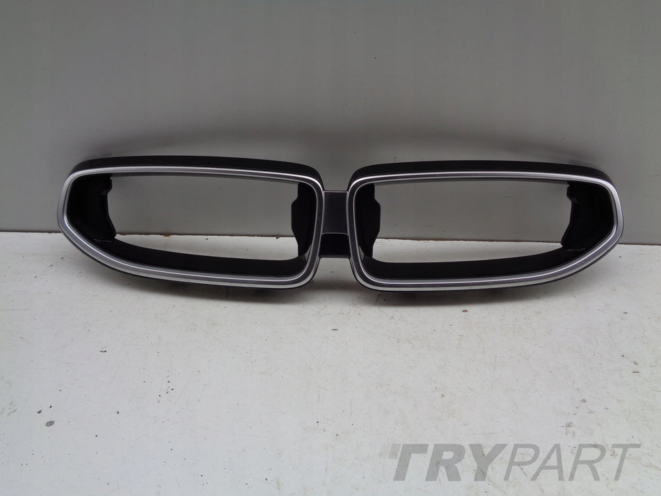 BMW 2 G42 Coupe Grille Cover