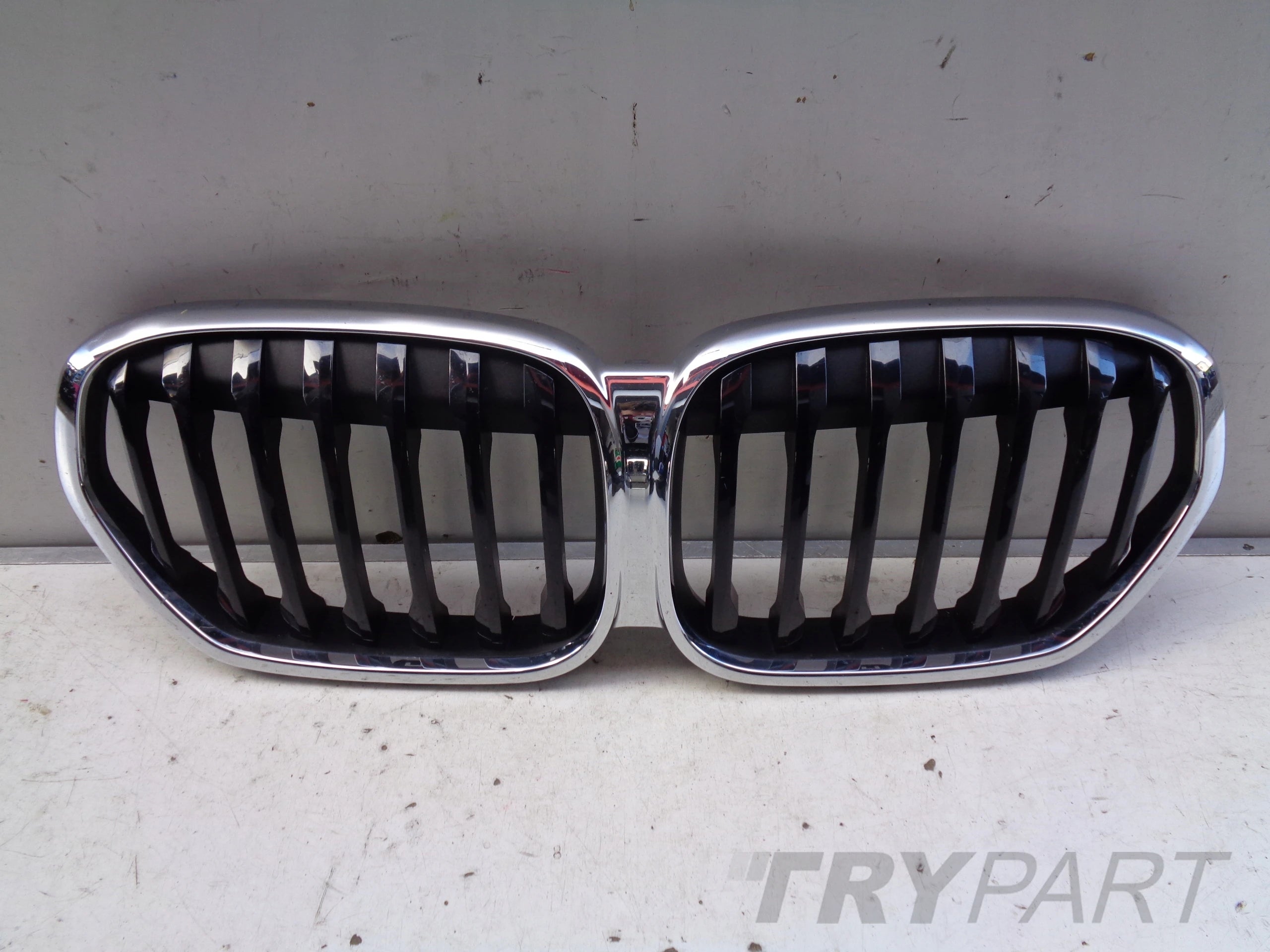 BMW X1 F48 19- LIFT GRILLE COVER