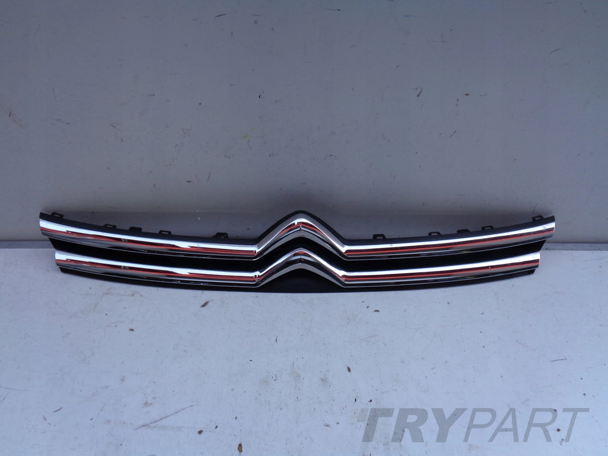 CITROEN JUMPY SPACETOURER 16- GRILLE COVER