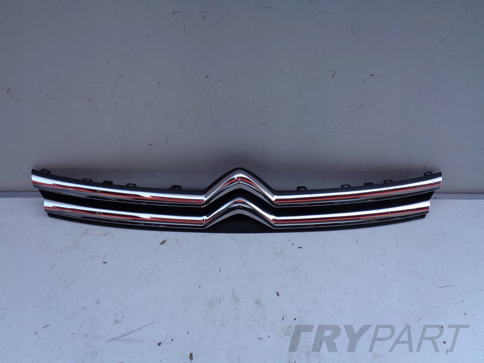 CITROEN JUMPY SPACETOURER 16- GRILLE COVER