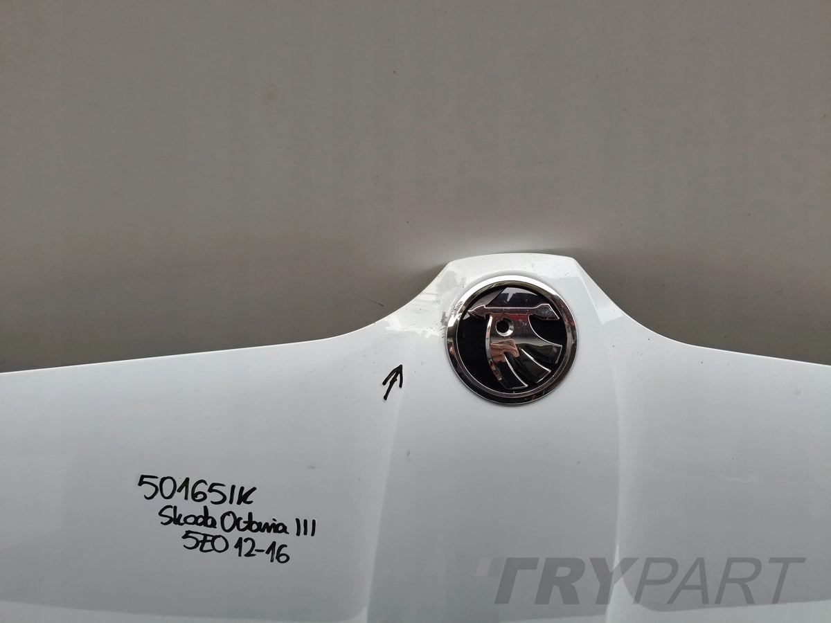 ENGINE HOOD MASK SKODA OCTAVIA III 3 5E 5E0 12-16 NO. 50165