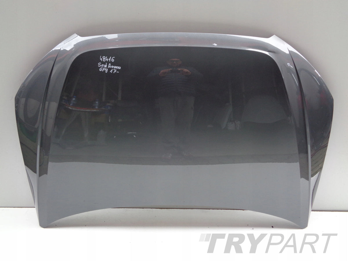 ENGINE HOOD SEAT ARONA 6F9 17- NO. 48416