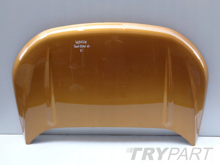 FORD EDGE 16- HOOD ENGINE COVER NR 46912