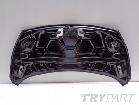 FORD TRANSIT CONNECT 18- LIFT ENGINE HOOD MASK NO. 48120