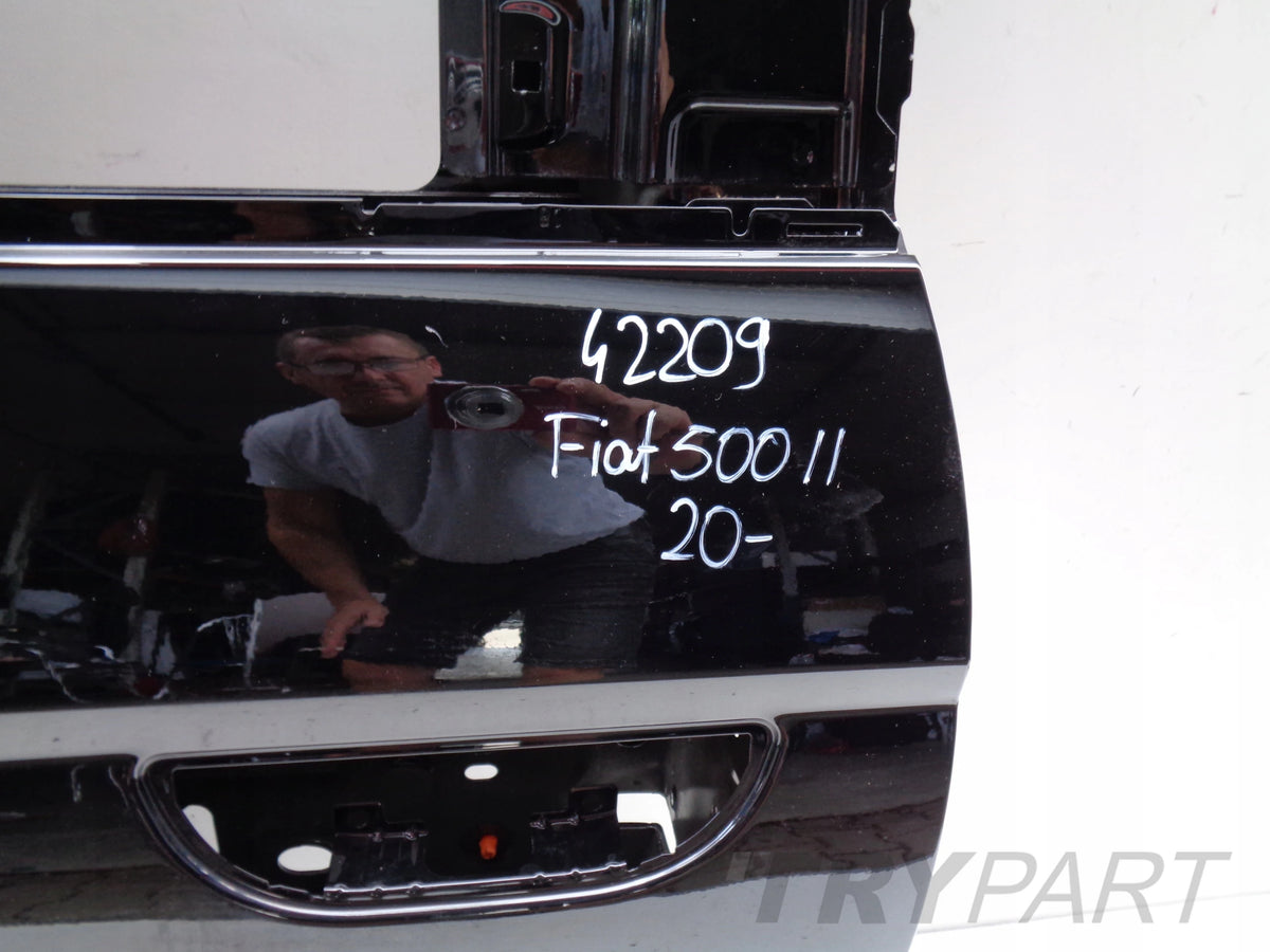 FRONT LEFT DOOR FIAT 500 II E 20- NO 42209