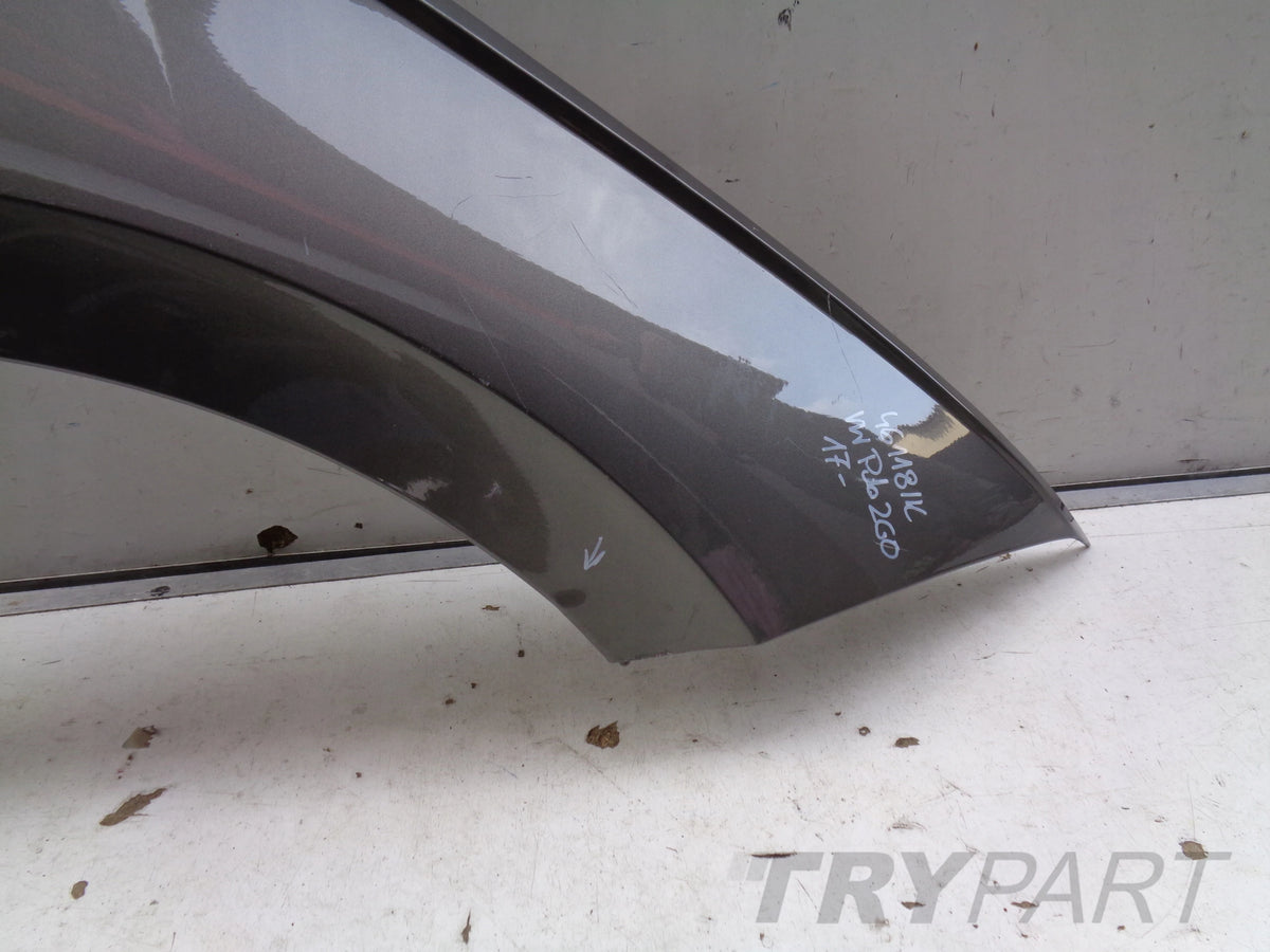 FRONT RIGHT FENDER VW POLO 2G 2G0 17- NO. 46118