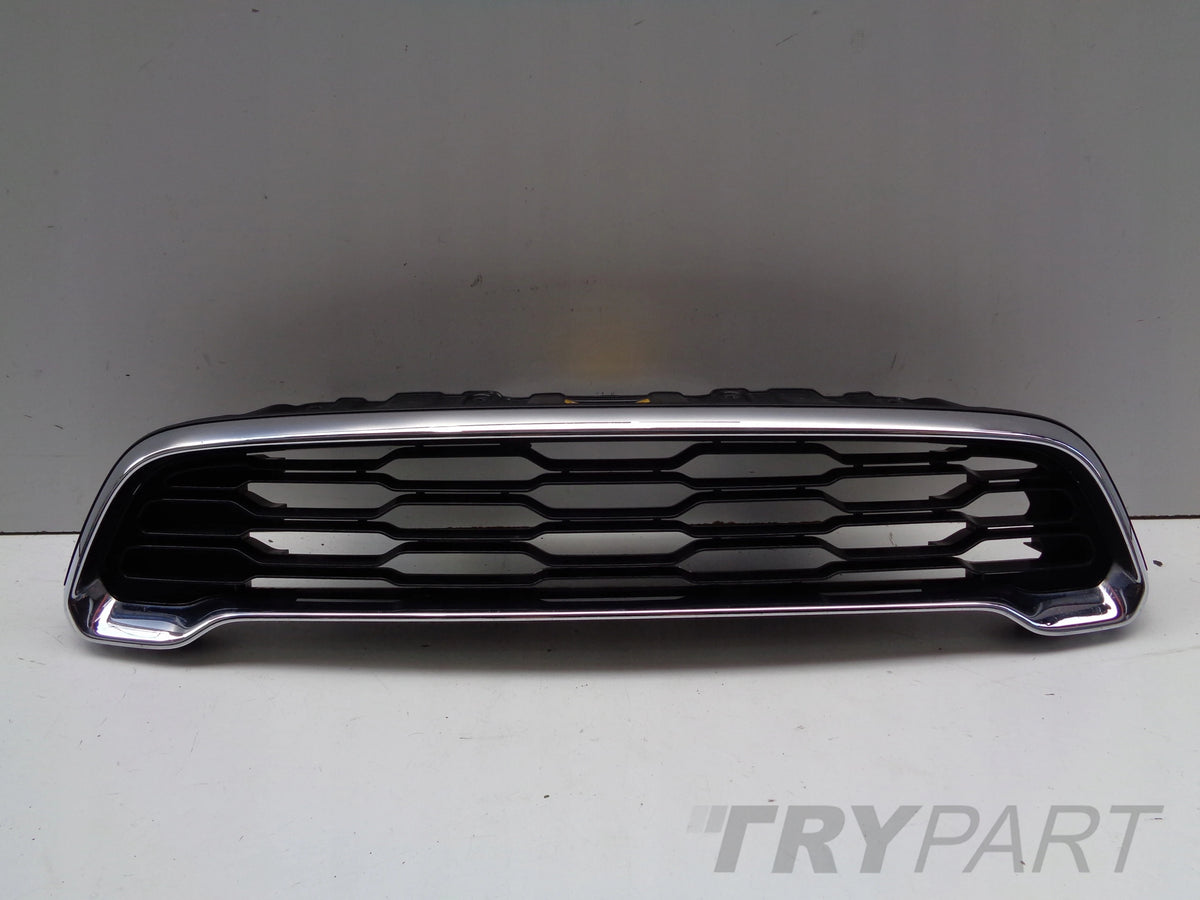 Grill Grille MINI COUNTRYMAN S R60 10-