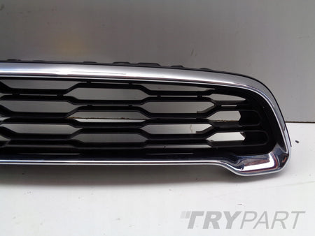 Grill Grille MINI COUNTRYMAN S R60 10-
