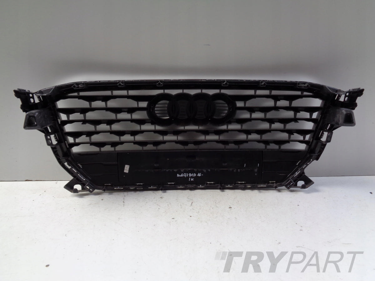 Grille Assembly AUDI Q2 81A 16-