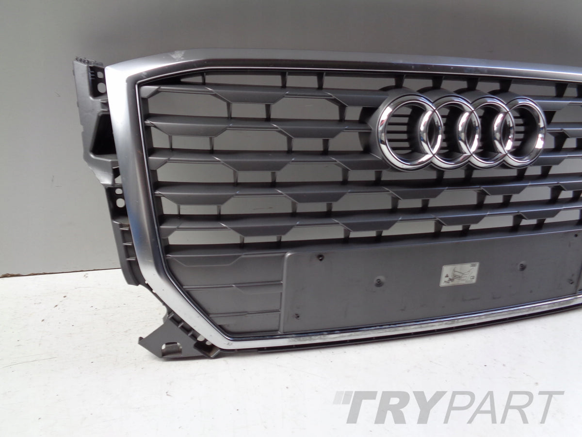 Grille Assembly AUDI Q2 81A 16-