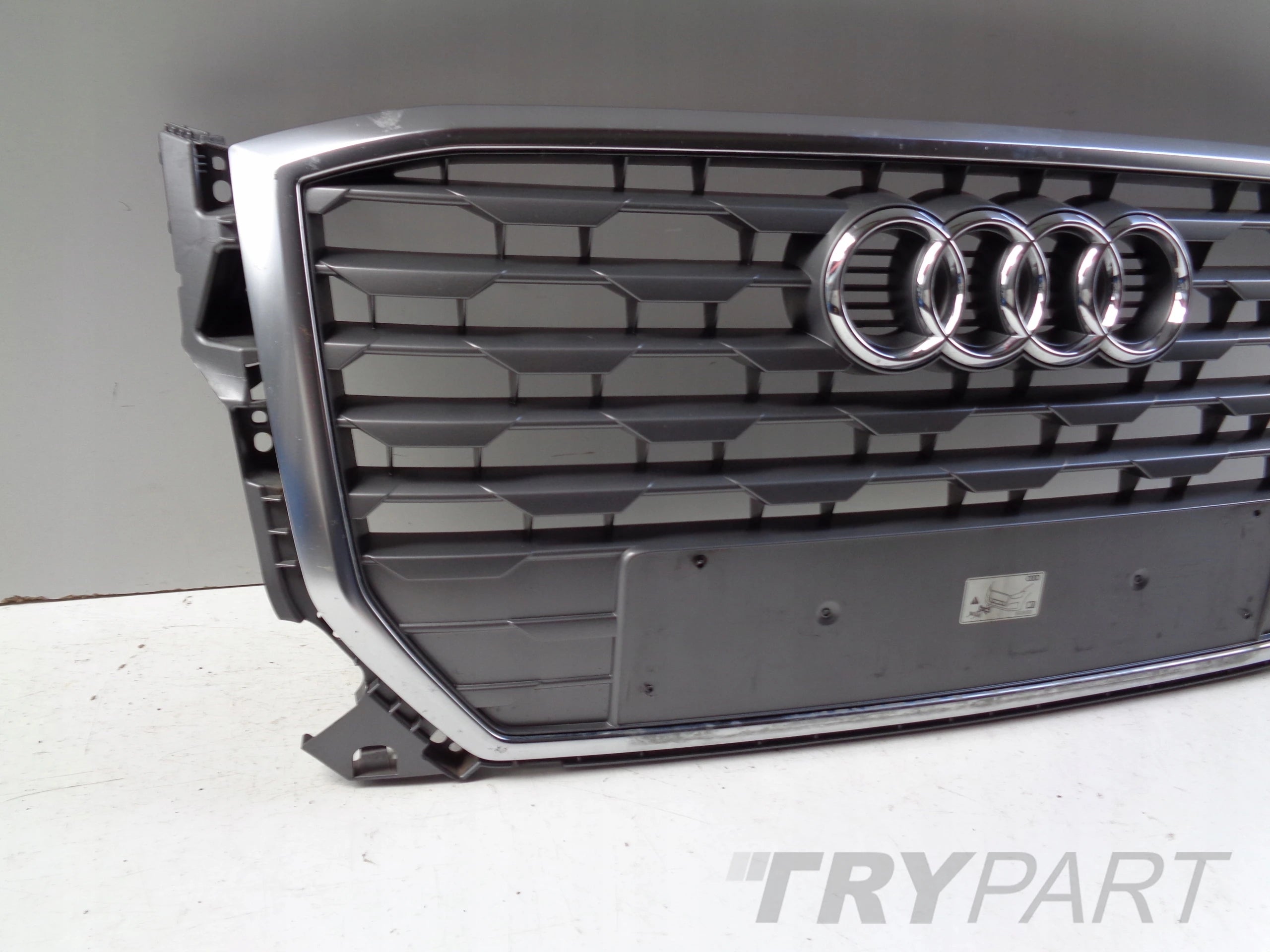 Grille Assembly AUDI Q2 81A 16-