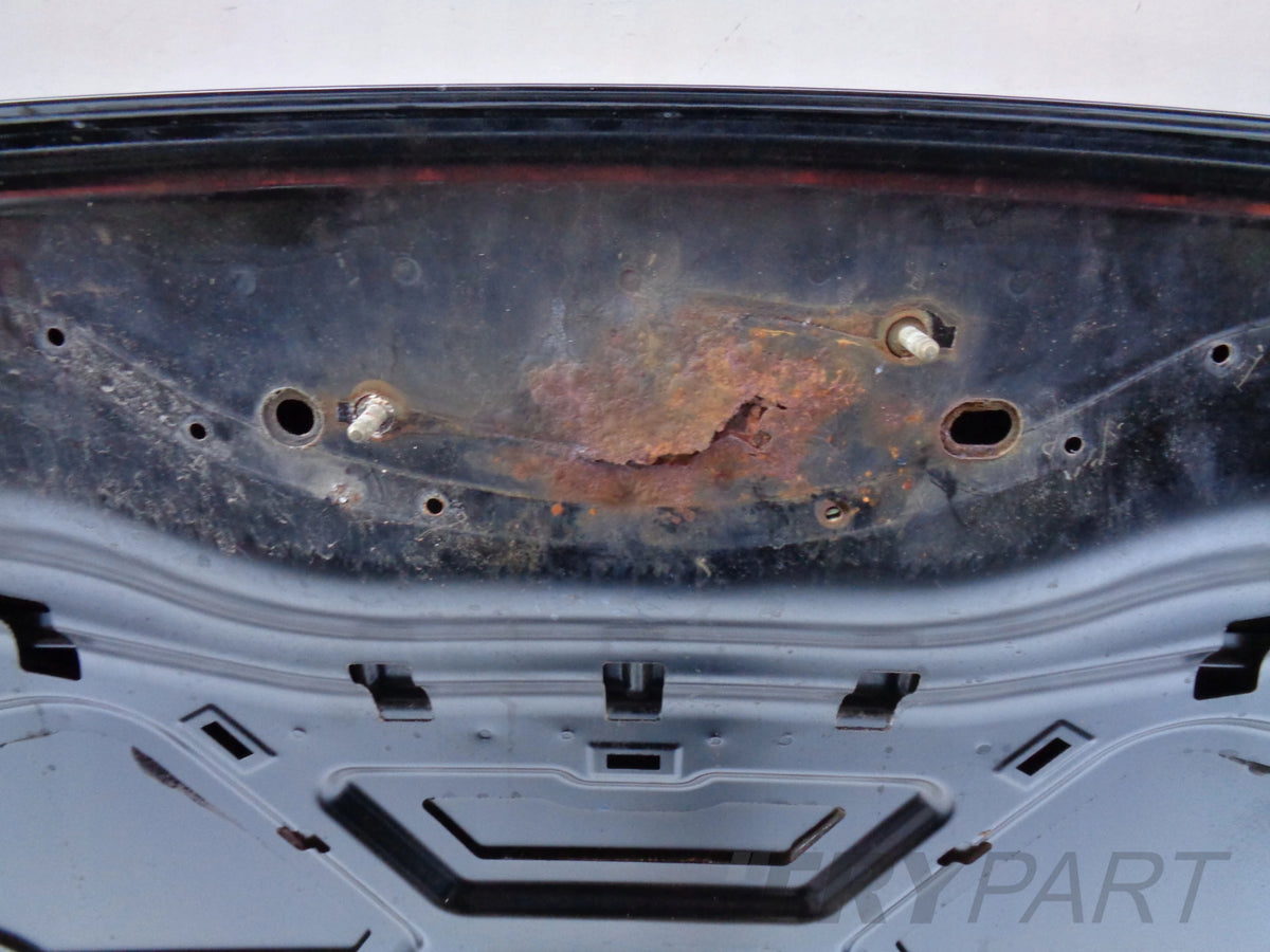 HOOD ENGINE COVER FORD EDGE 16- NO. 36755