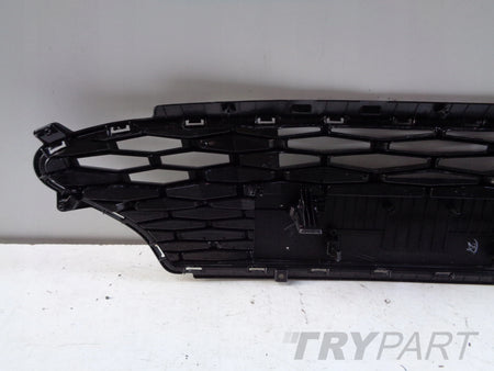 HYUNDAI I10 III 23- LIFT PAINTED RADIATOR GRILLE MESH