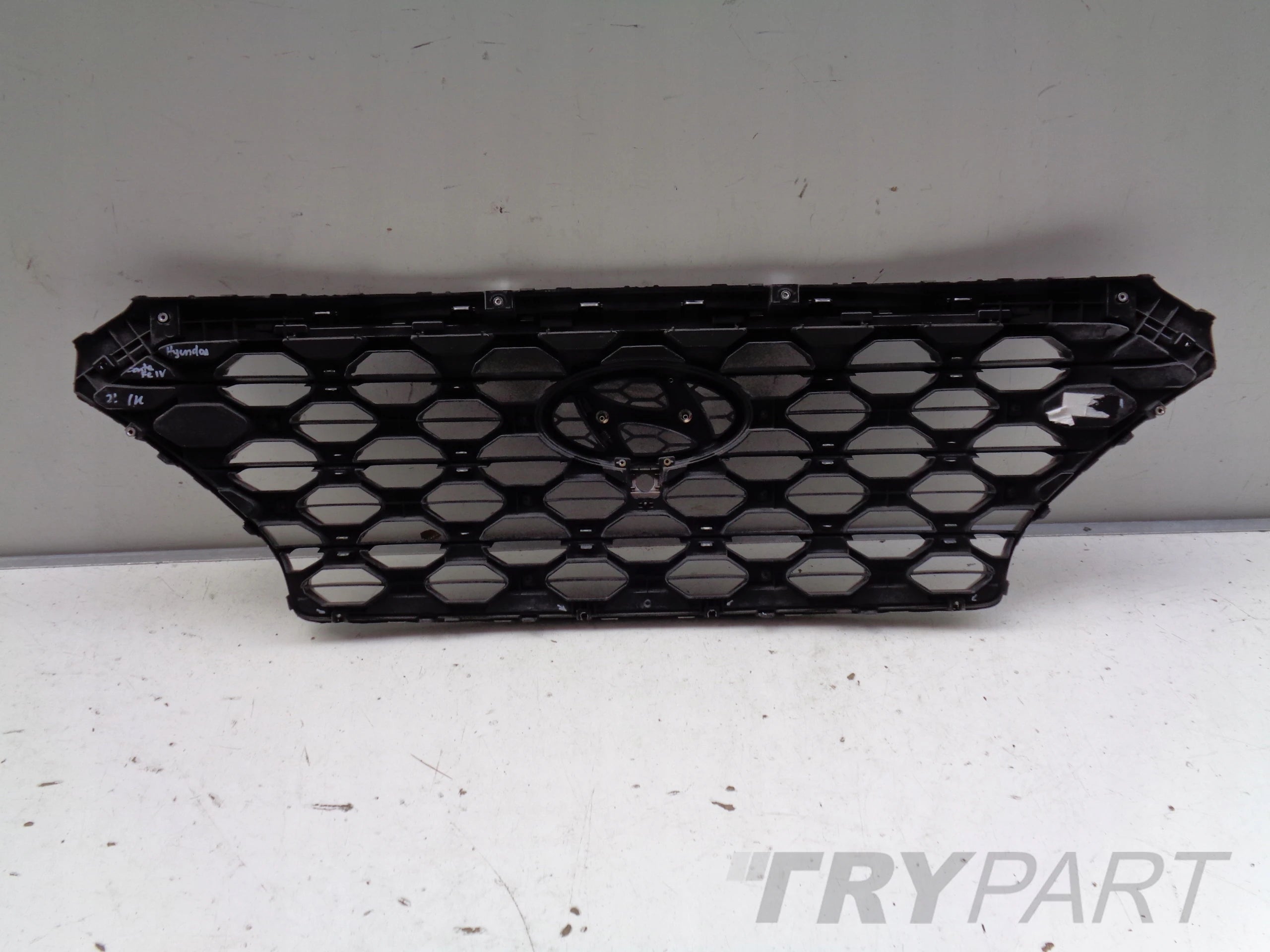HYUNDAI SANTA FE IV 18- Grille Cover