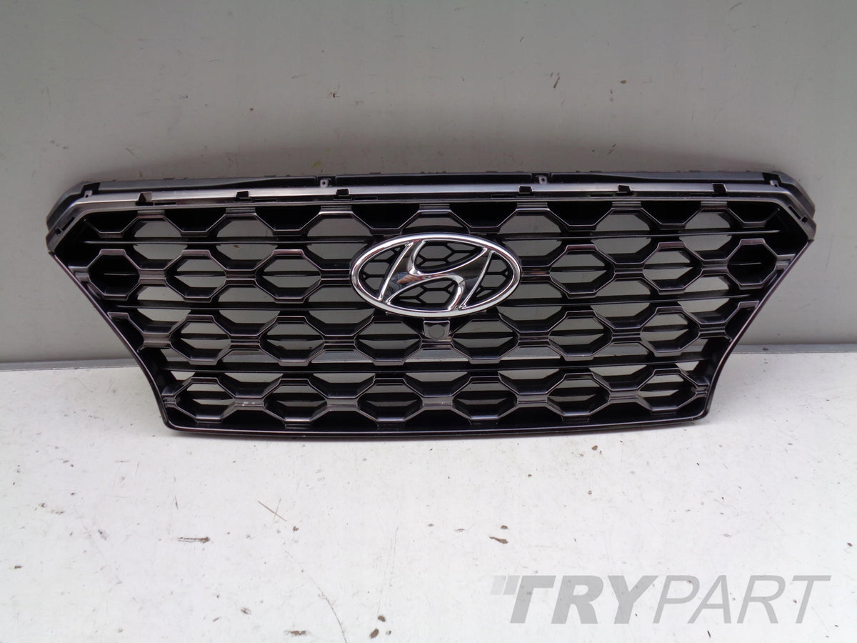 HYUNDAI SANTA FE IV 18- Grille Cover
