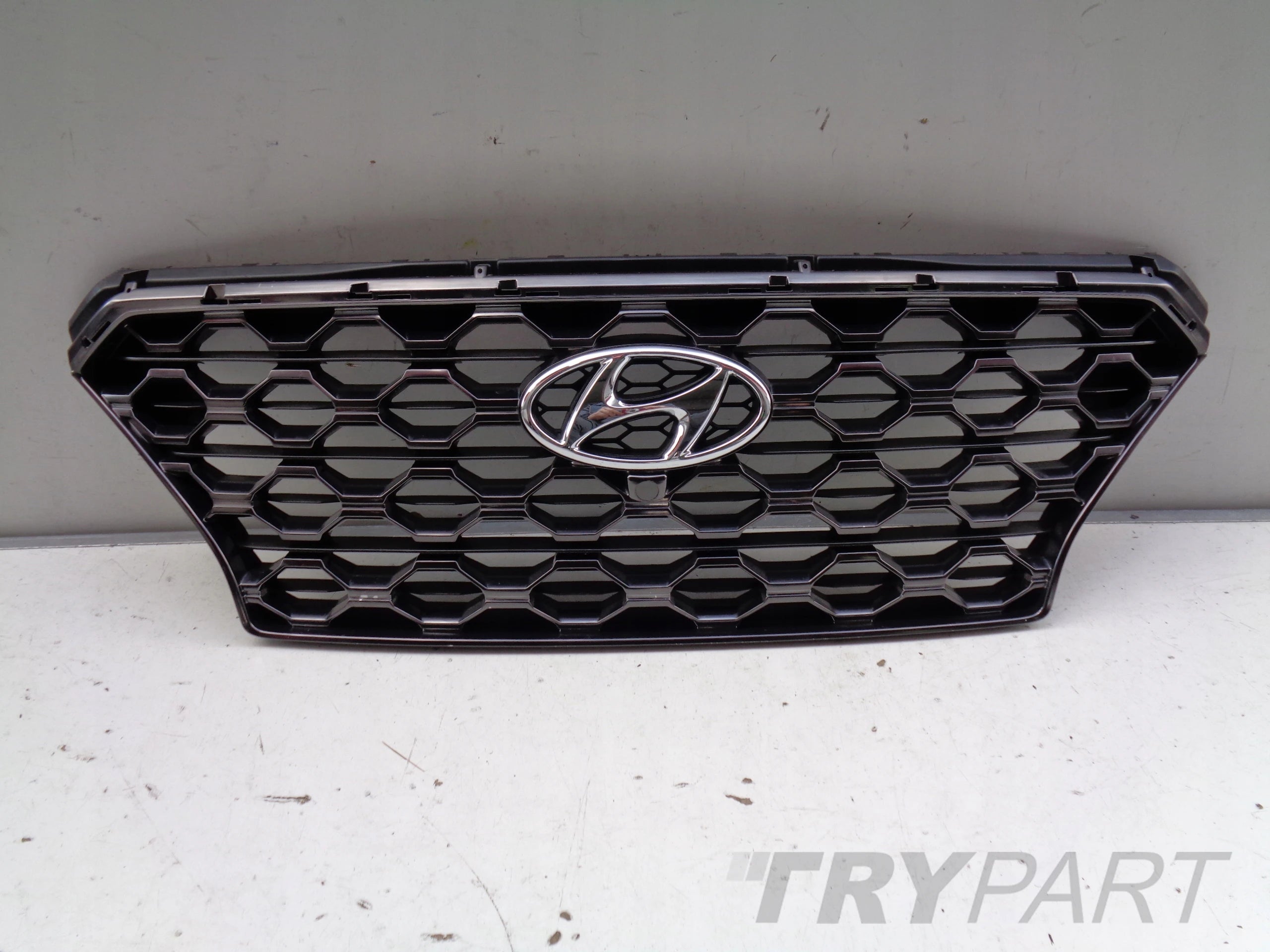 HYUNDAI SANTA FE IV 18- Grille Cover