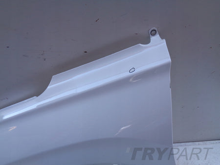 LEFT FRONT FENDER HYUNDAI SANTA FE IV 18- NO. 45352