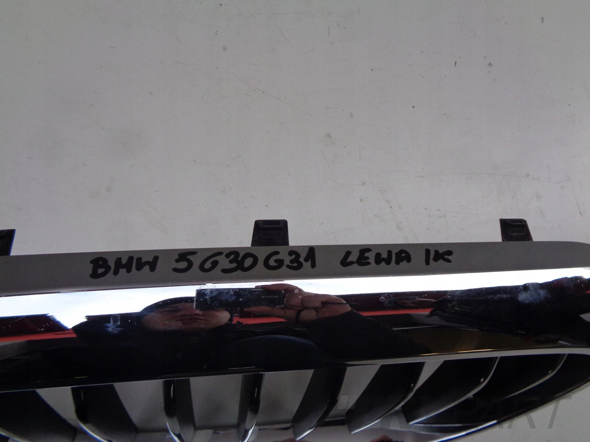Left Kidney Grille for BMW 5 G30 G31 17-