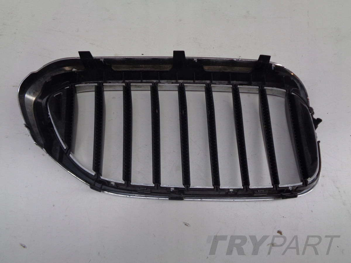 Left Kidney Grille for BMW 5 G30 G31 17-