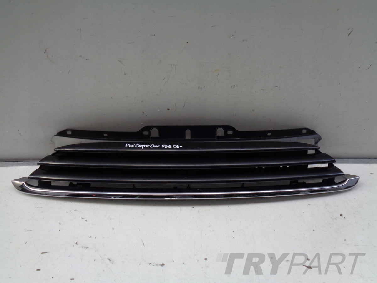 MINI COOPER ONE R56 06- Grille Panel