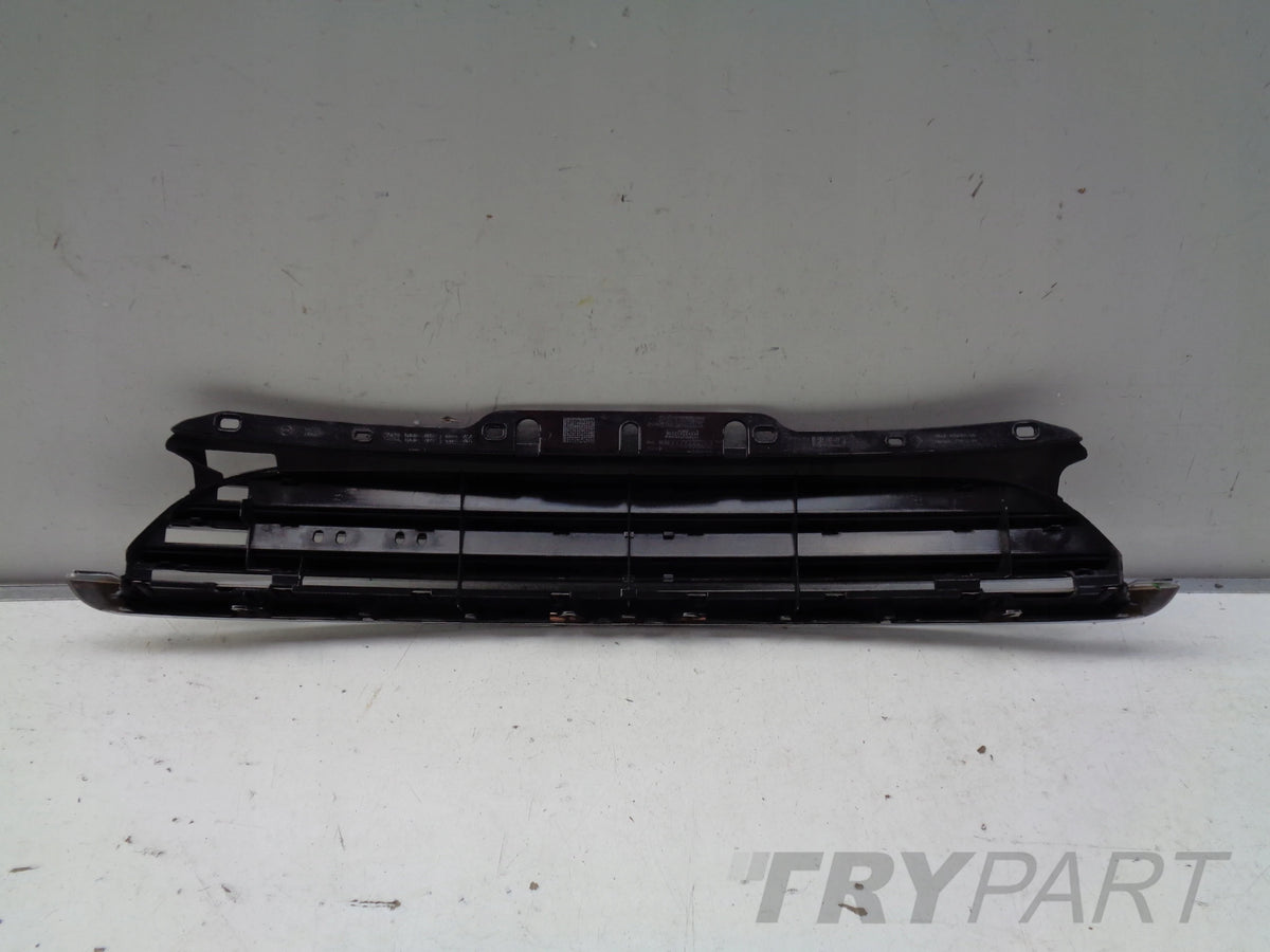 MINI COOPER ONE R56 06- Grille Panel