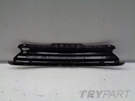 MINI COOPER ONE R56 06- Grille Panel