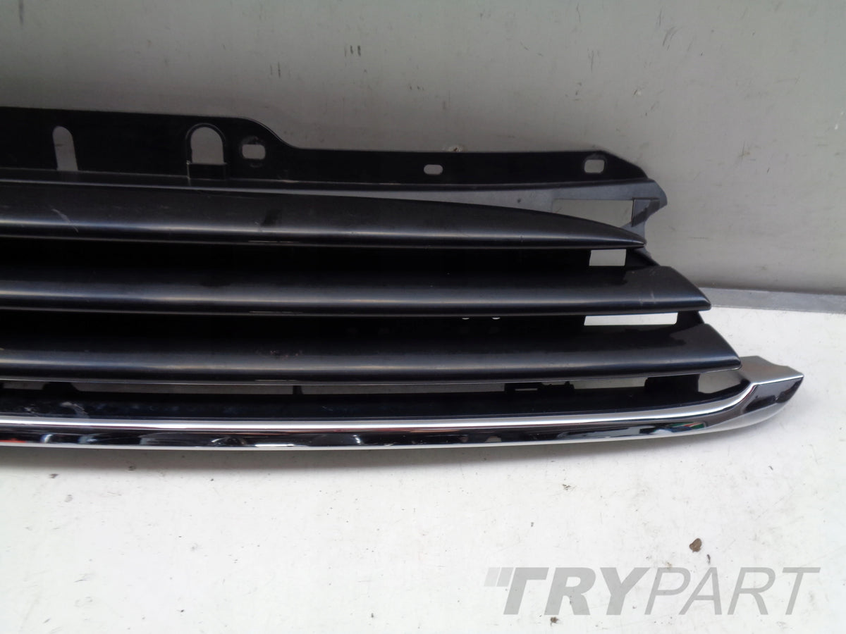 MINI COOPER ONE R56 06- Grille Panel