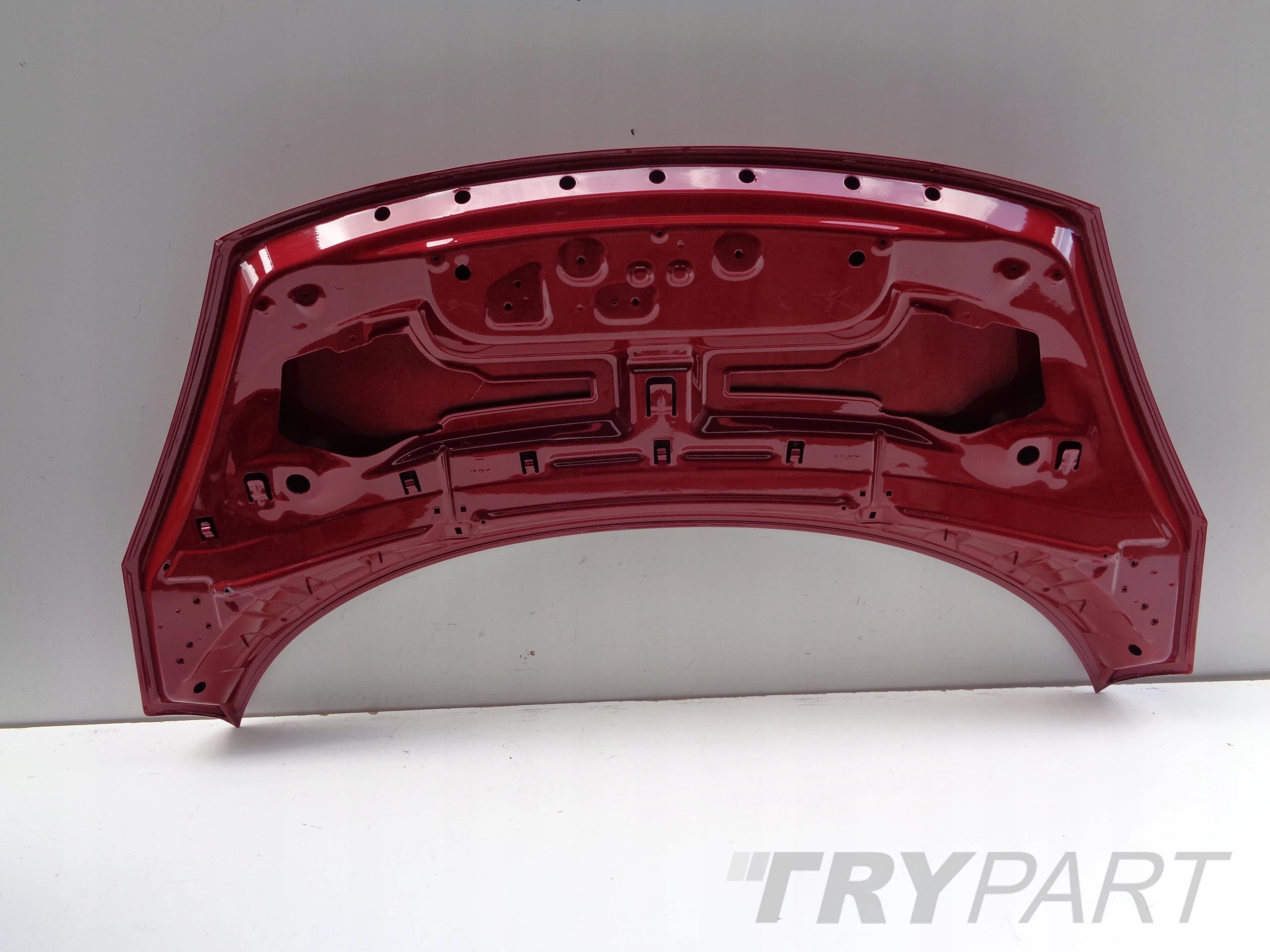 NEW HOOD ENGINE COVER RENAULT SCENIC III 12- LIFT NO. 47363