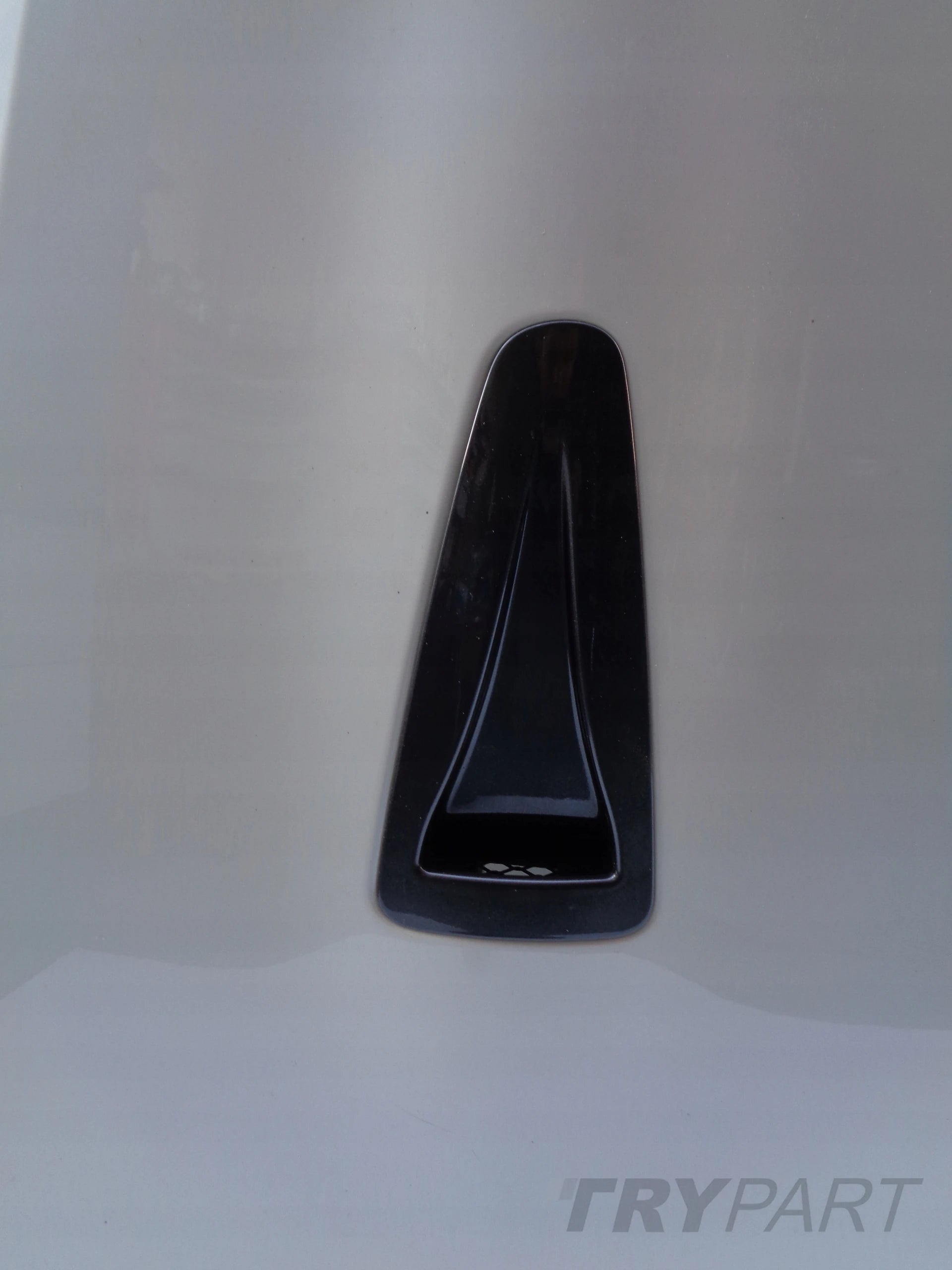 NISSAN GTR ENGINE HOOD ASSEMBLY NO. 48658