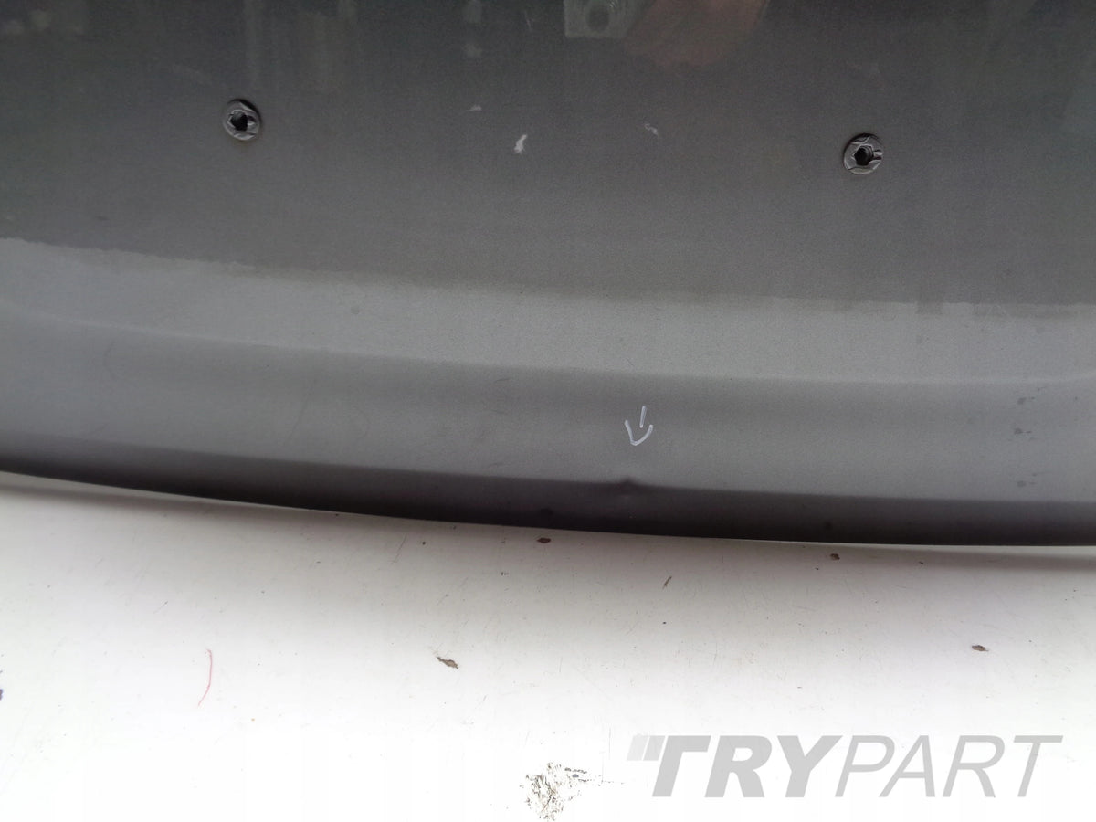 NISSAN JUKE II 19- Tailgate with glass No. 51611