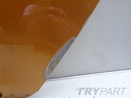 REAR LEFT DOOR RENAULT SCENIC IV 16- NO. 12967