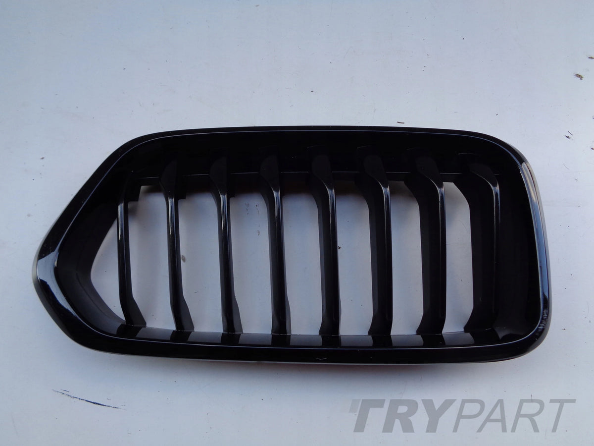 RIGHT KIDNEY GRILLE TRIM BMW X2 F39 18-