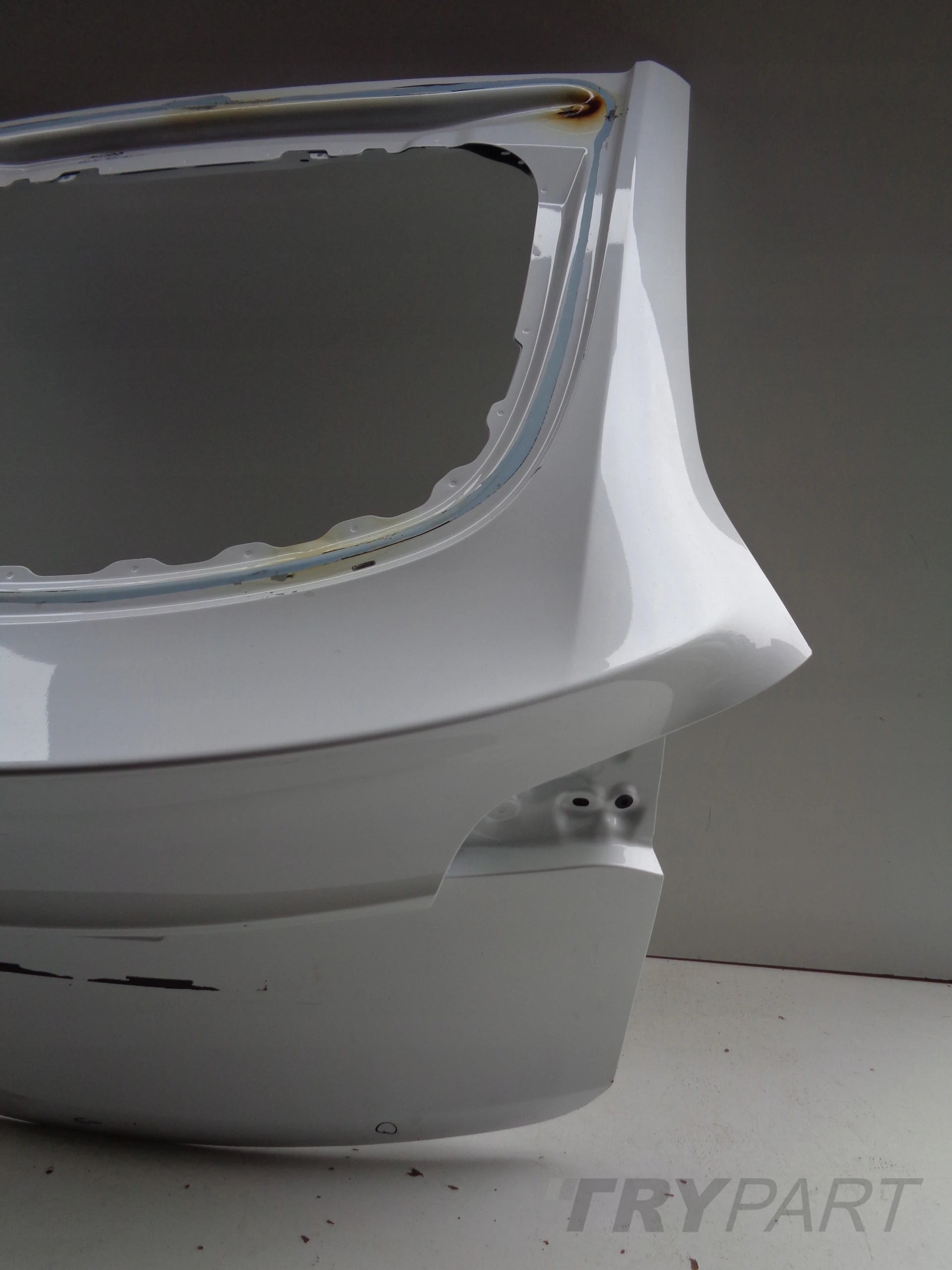 TESLA MODEL Y TAILGATE NO. 51099