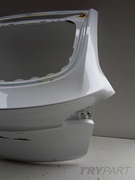 TESLA MODEL Y TAILGATE NO. 51099