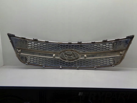 HYUNDAI H1 II 07- grill catcher