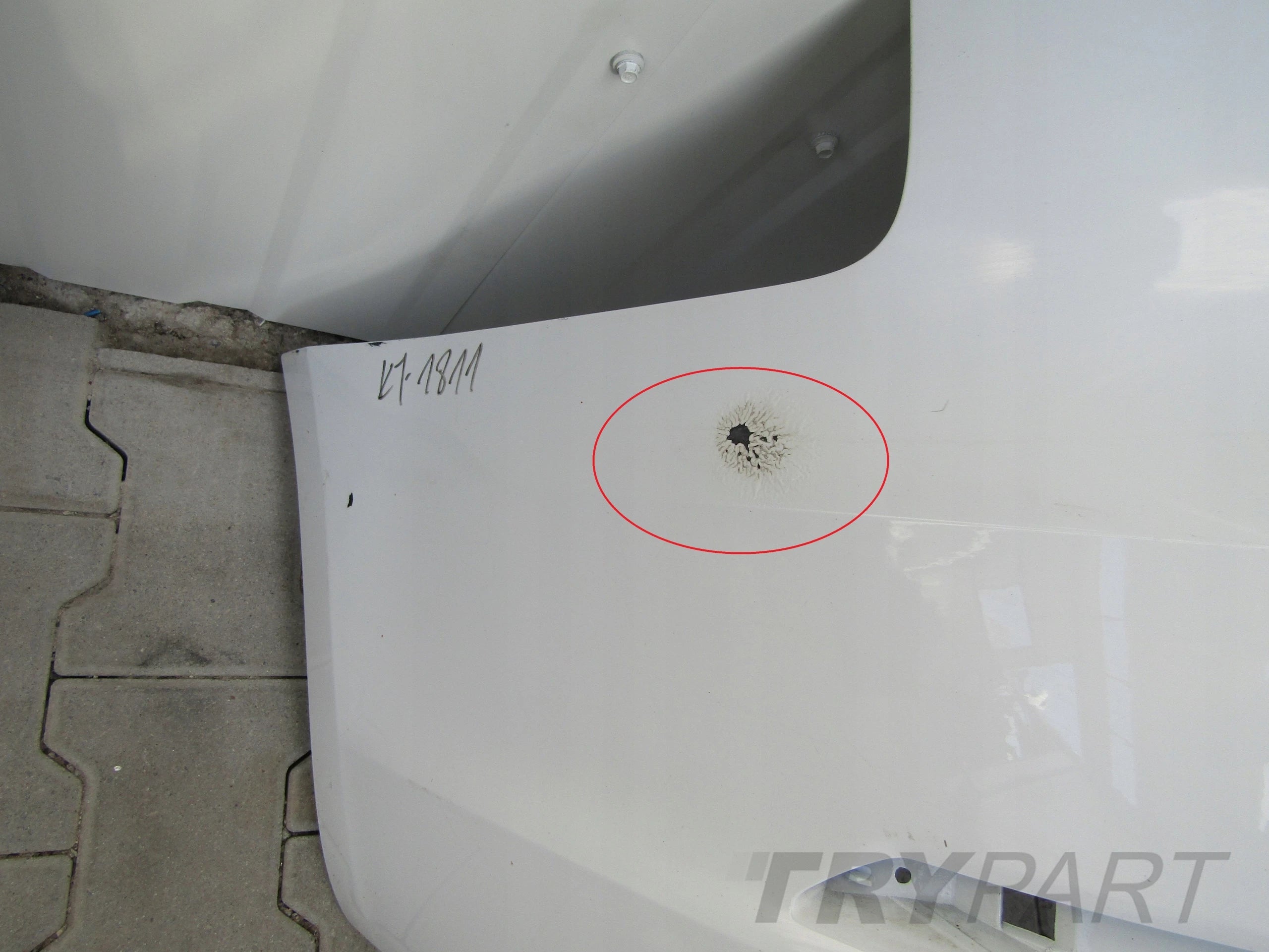 AUDI A4 B9 8W9 KOMBI 15- Rear Bumper