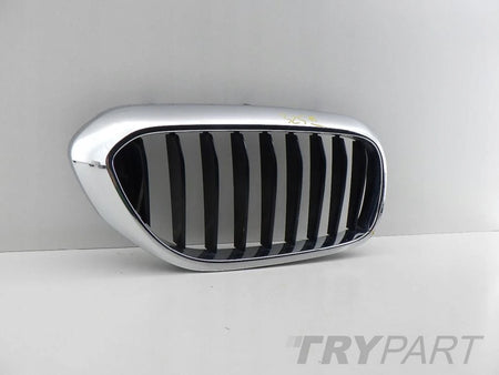 BMW 5 G30 G31 Right Kidney Grille