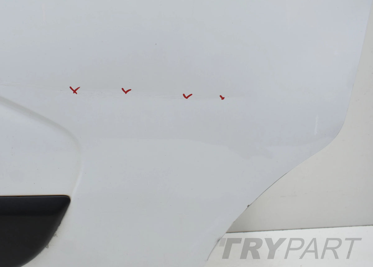 RENAULT MASTER III OPEL MOVANO RIGHT FRONT DOOR ORG