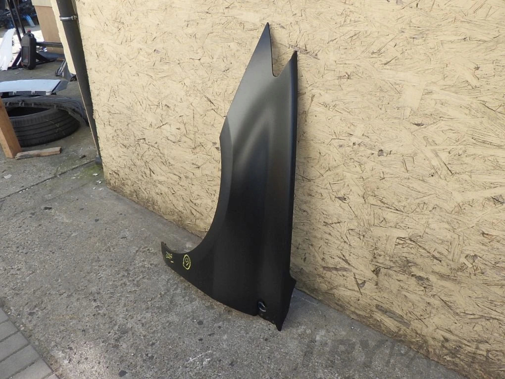 RENAULT LAGUNA 3 III 07- front left fender