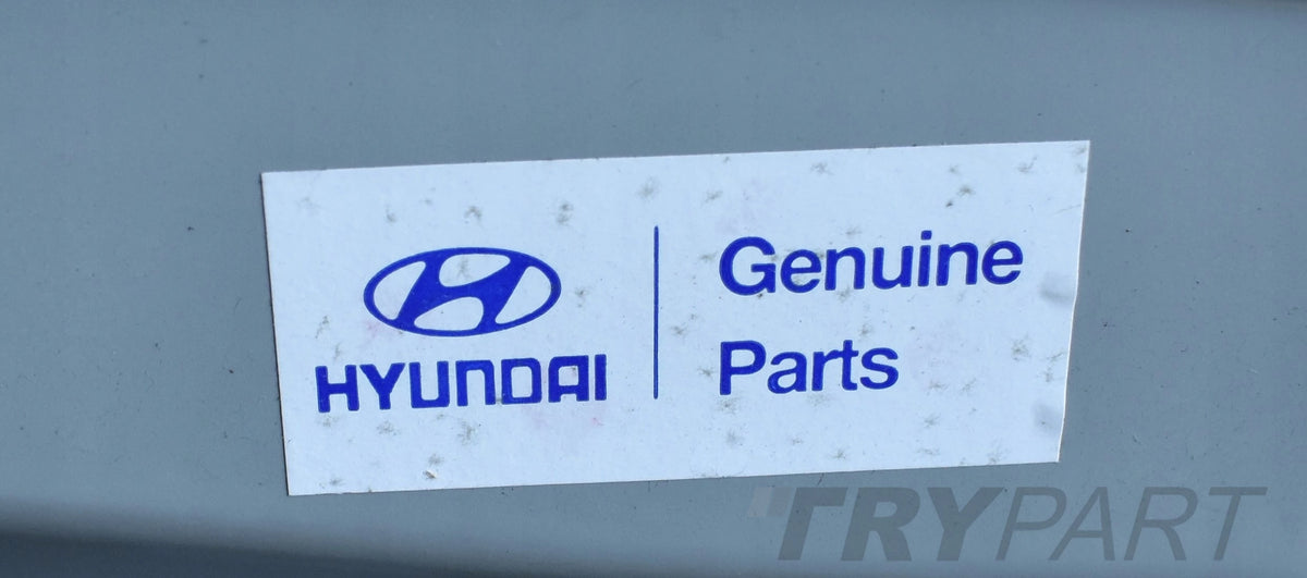 HYUNDAI SANTAMO Left Rear Door New Original