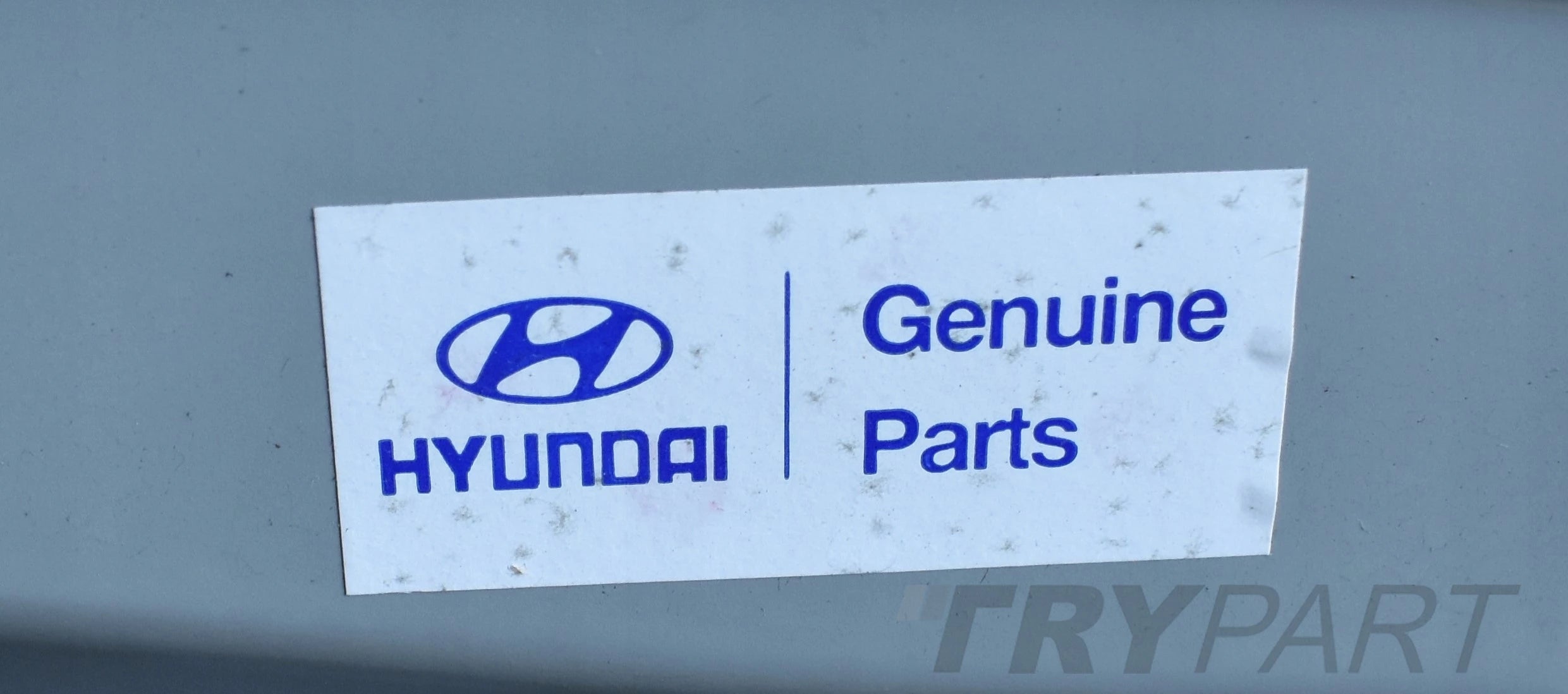 HYUNDAI SANTAMO Left Rear Door New Original