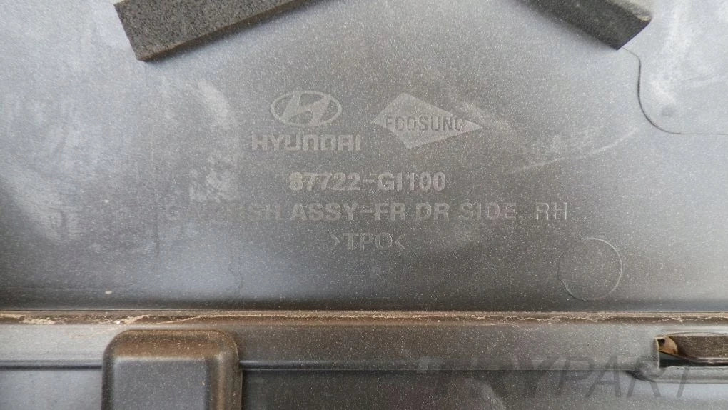 HYUNDAI IONIQ V 5 21- Right Front Rear Door Moulding