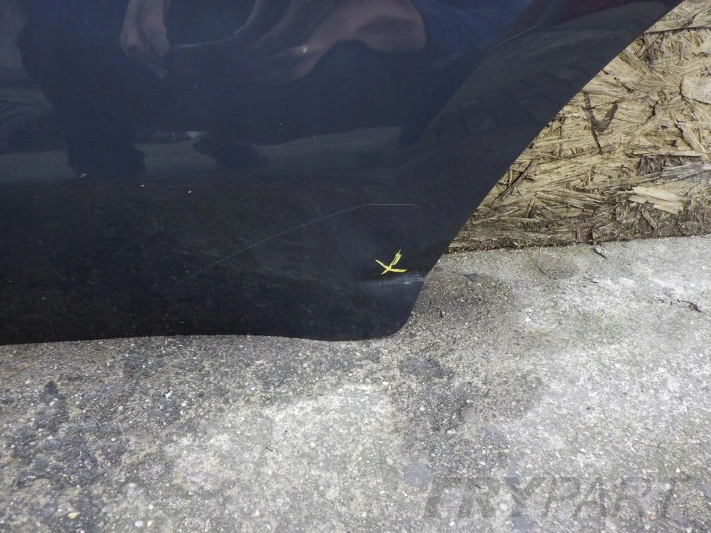 KIA SPORTAGE IV 4 2015- Rear Left Door