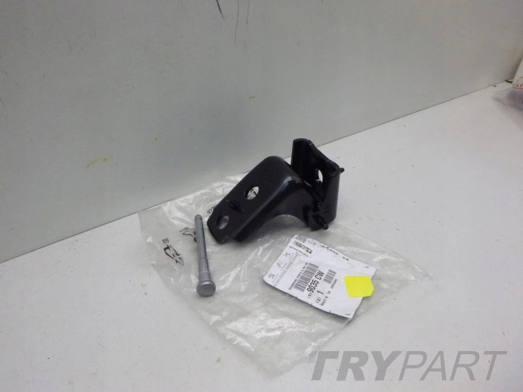 PEUGEOT 508 Right Door Hinge